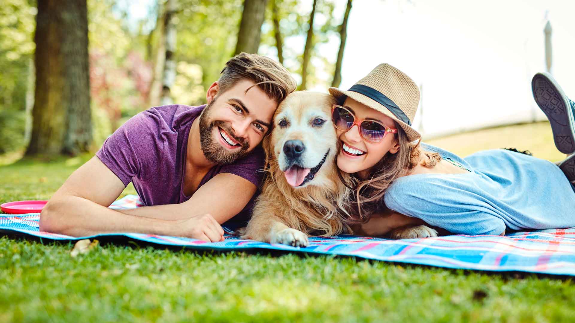 Venta de casas y de departamentos pet friendly en Puerto Vallarta y Bahía de Banderas.