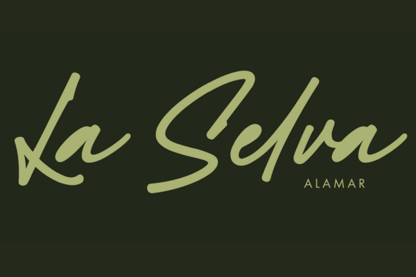 Logo de los departamentos en venta en Alamar